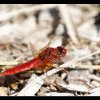 20120722_221